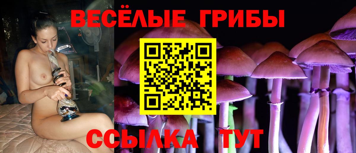 Псилоцибиновые грибы GOLDEN TEACHER Нарткала