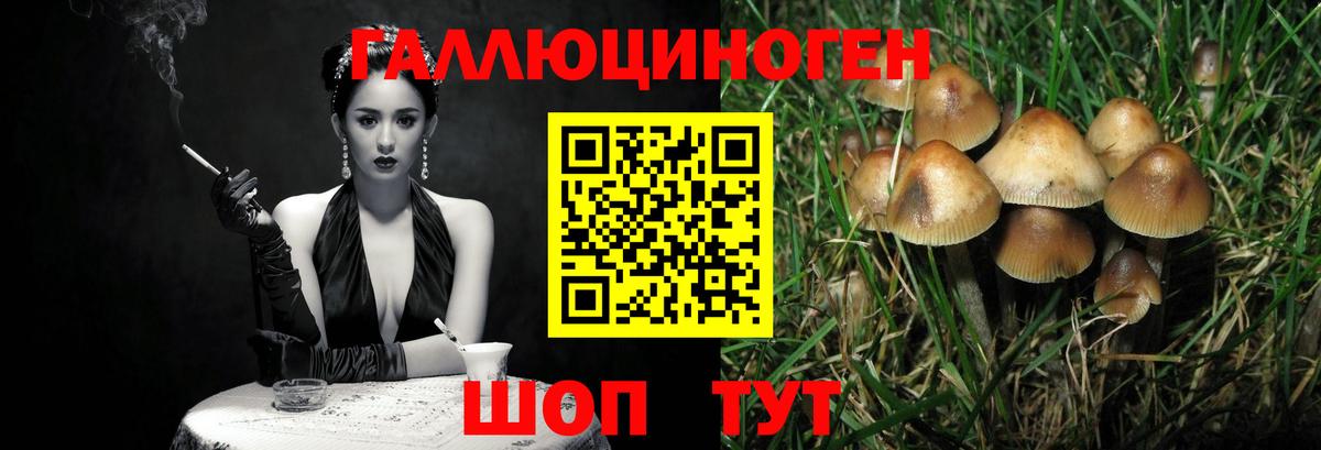 Псилоцибиновые грибы ЛСД  Галлюциногенные грибы Magic Shrooms  Нарткала  Вход с VPN 